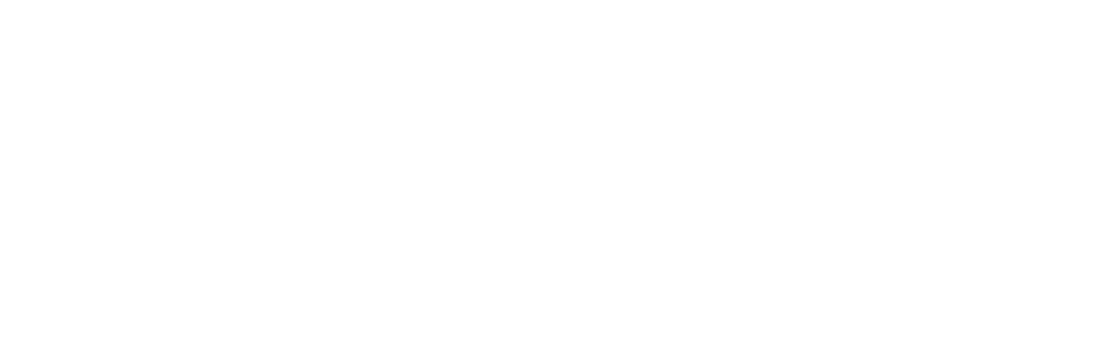 light logo